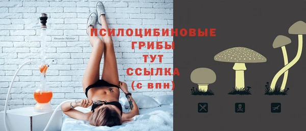 крисы Абаза