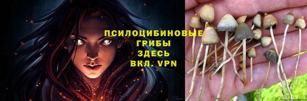 индика Абдулино