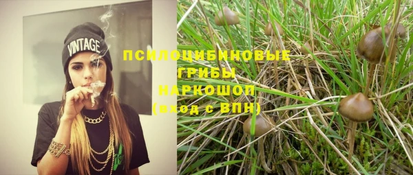 крисы Абаза