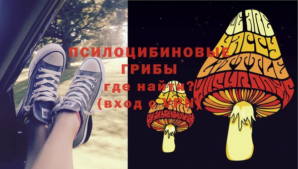 крисы Абаза