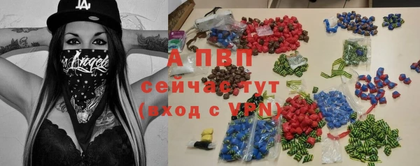 крисы Абаза