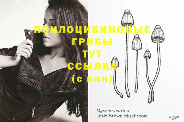 крисы Абаза